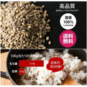 国産オーガニック もち麦300g 有機JAS ...の詳細画像2