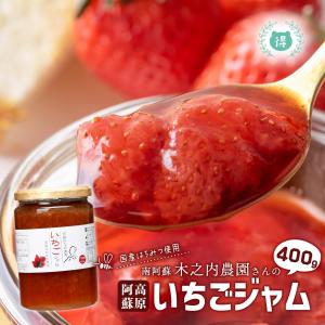 阿蘇木之内農園 阿蘇高原いちごジャム400g 阿蘇産紅ほっぺ イチゴジャム 国産はちみつ使用 ハチミツ 蜂蜜 はちみつ 熊本 お土産 ご当地