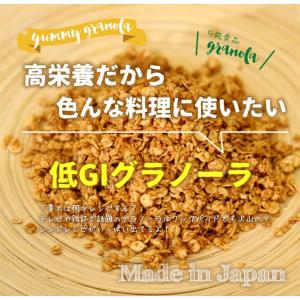 12袋セット 西田精麦 九州大麦グラノーラ プ...の詳細画像4