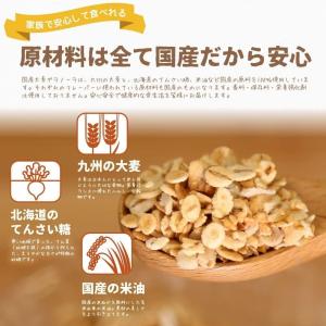 12袋セット 西田精麦 九州大麦グラノーラ プ...の詳細画像5