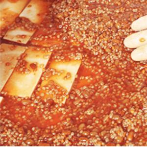 とうべい 秘伝豆酪 豆腐のもろみ漬け 100g...の詳細画像2