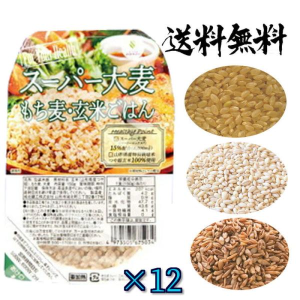 城北 スーパー大麦 バーリーマックス/もち麦/玄米 レトルト ご飯 150g 12個