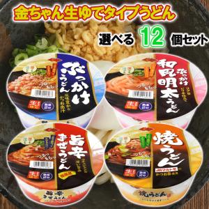 【選べるセット】【徳島製粉】金ちゃん 生ゆでタイプうどん 4種から選べる12個セット(ぶっかけうどん/ぶっかけ和風明太うどん/旨辛まぜうどん/焼うどん)