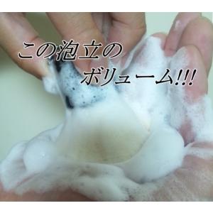 送料込 熊野筆 男の洗顔ブラシ 大 黒 特許第...の詳細画像3