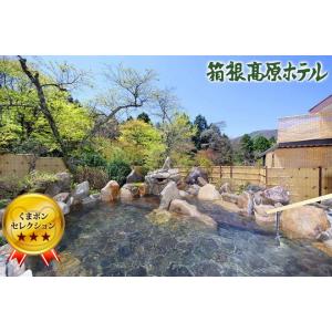 【箱根・仙石原温泉】日帰り入浴料+レンタルタオルセット(フェイスタオル＋バスタオル)土日OK♪