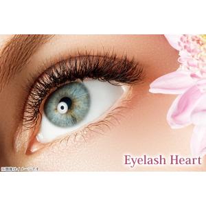 マツエク セーブル 1本 サービスクーポン 引換券 の商品一覧 レンタル 各種サービス 通販 Yahoo ショッピング