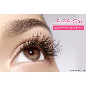 マツエク セーブル 1本 サービスクーポン 引換券 の商品一覧 レンタル 各種サービス 通販 Yahoo ショッピング