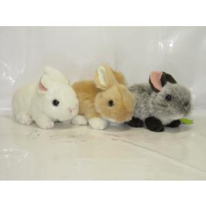 Potte アンゴラウサギ うさぎ ぬいぐるみ サン・アロー : HONDA STORE