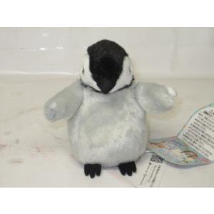 コレクタ キタイワトビペンギン ぬいぐるみ ロックホッパー ペンギン
