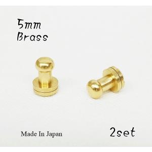 頭径 5mm ギボシ ネジ式 ブラス 真鍮生地 ２個セット　