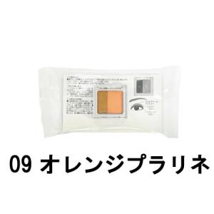 オルビス ツイングラデーションアイカラー N 09 オレンジプラリネ ケース入り [ ORBIS おるびす ]- 定形外送料無料 -｜kumokumo-square