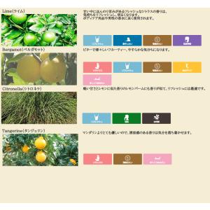 エッセンシャルオイル 精油 セット 5ml ×...の詳細画像3