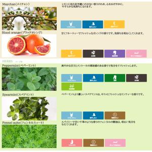 エッセンシャルオイル 精油 セット 5ml ×...の詳細画像4