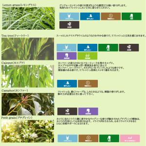 エッセンシャルオイル 精油 セット 5ml ×...の詳細画像5