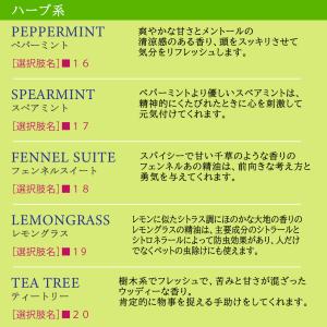 エッセンシャルオイル 精油 セット 10ml ...の詳細画像4