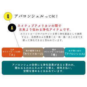 浄化用香皿 アバロンシェル サイズ 約10〜1...の詳細画像2