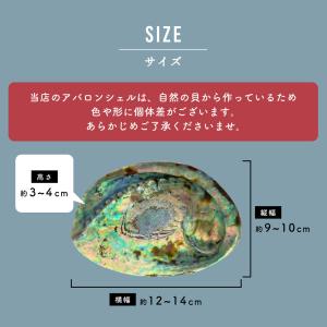 浄化用香皿 アバロンシェル サイズ 約10〜1...の詳細画像4
