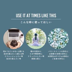 浄化用香皿 アバロンシェル サイズ 約10〜1...の詳細画像5