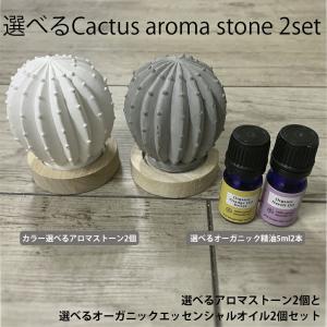 &SH おしゃれ シンプル アロマストーンセット サボテン オーガニック