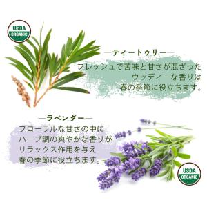 初回購入限定 ( 花粉 対策 ) アレルカフン...の詳細画像4