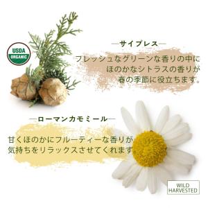 初回購入限定 ( 花粉 対策 ) アレルカフン...の詳細画像5