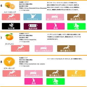 アロマオイル セット 選べるエッセンシャルオイ...の詳細画像5