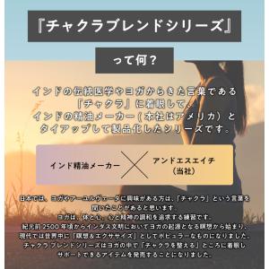 チャクラ マッサージ バーム 35g 7種類か...の詳細画像3