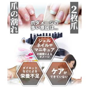 ネイルオイル 植物性 / シアバター ネイルオ...の詳細画像4