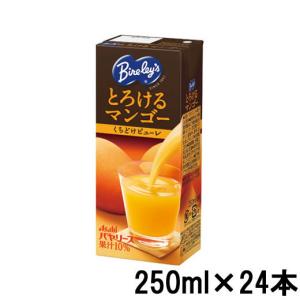 アサヒ バヤリース とろけるマンゴー 紙パック 250ml × 24本 [ Asahi ] - 送料無料 - 北海道・沖縄を除く｜kumokumo-square