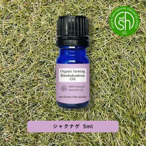 エッセンシャルオイル シャクナゲ オイル 5ml &amp;sh アロマ  +lt3+