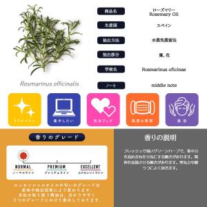 エッセンシャルオイル 精油 ローズマリー シネ...の詳細画像5
