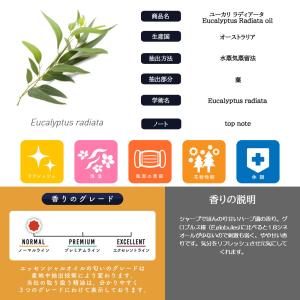 エッセンシャルオイル 精油 ユーカリラディアタ...の詳細画像4