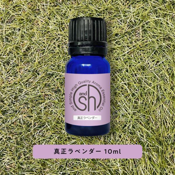 エッセンシャルオイル 精油 ラベンダー 10ml アロマ 真正ラベンダー AEAJ表示基準適合認定精...