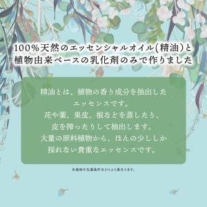 植物由来原料使用 &SH アロマ 水溶...の詳細画像3