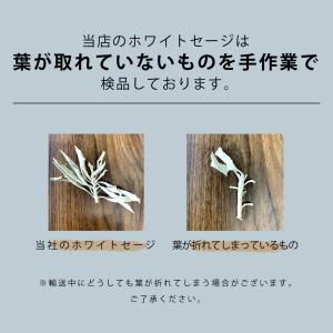 浄化用 ホワイトセージ カリフォルニア産 無農...の詳細画像4