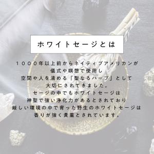 ホワイトセージ 浄化 カリフォルニア産 無農薬...の詳細画像3
