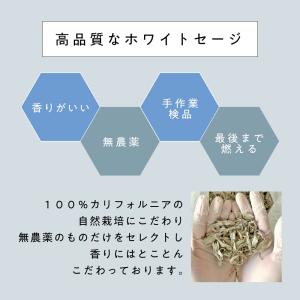ホワイトセージ 浄化 カリフォルニア産 無農薬...の詳細画像4