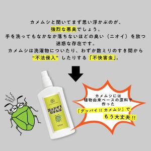 カメムシ 対策 スプレー グッバイカメムシ 3...の詳細画像3