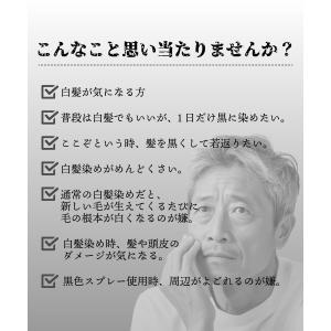 白髪染め メンズ / NTCW ナチュラル ト...の詳細画像3