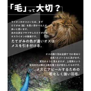 白髪染め メンズ / NTCW ナチュラル ト...の詳細画像5