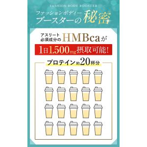 【公式】FASHIONBODY ブースター 1...の詳細画像3