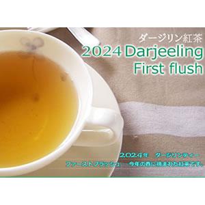 2024ダージリン春摘み３茶園セット