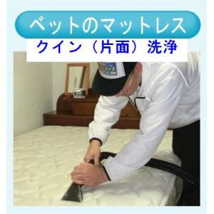 マットレスのクリーニング（クイン片面）　出張洗浄サービス【対応地域限定】【代金引換】