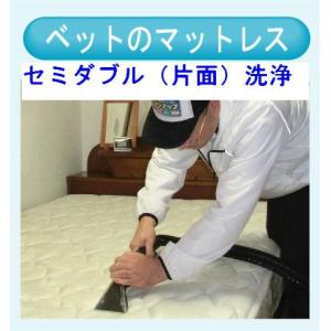マットレスのクリーニング（セミダブル片面）　出張洗浄サービス【対応地域限定】【代金引換】