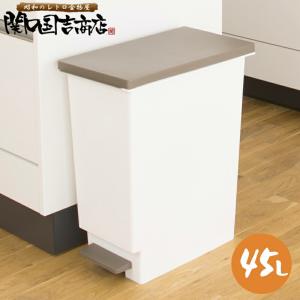 昔ながらの トタン ダストペール 65型 蓋付き 日本製 / ばけつ バケツ