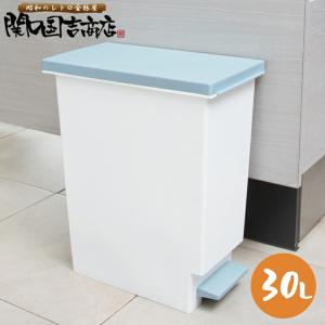 セキスイ ポリペール 45型 フタ付 セット #45 45L 蓋付き ポリバケツ