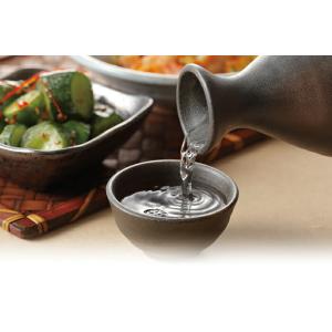 酒器セット 徳利 ぐい呑み SOGI 陶器 美濃焼 （ 酒器 とっくり