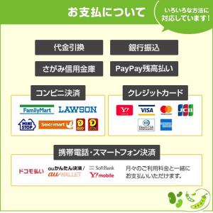 カロリーメイト ブロックプレーン・チョコ・チー...の詳細画像1