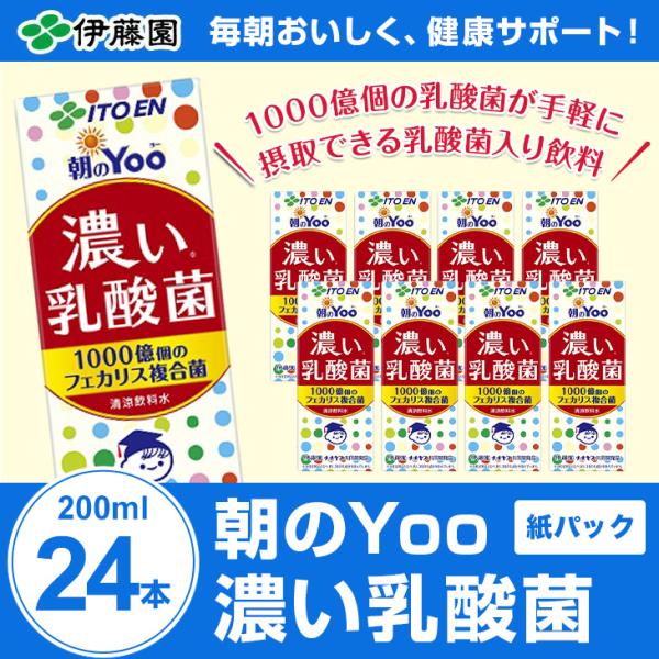朝のYoo 濃い乳酸菌 紙 200ml×24本 伊藤園 乳酸菌 まとめ買い 紙パック