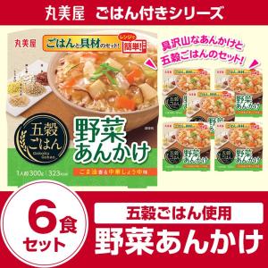 丸美屋食品 五穀ごはん 野菜あんかけ×6食 レトルト食品 まとめ買い インスタント食品